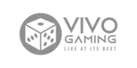 Cartão Visa logo